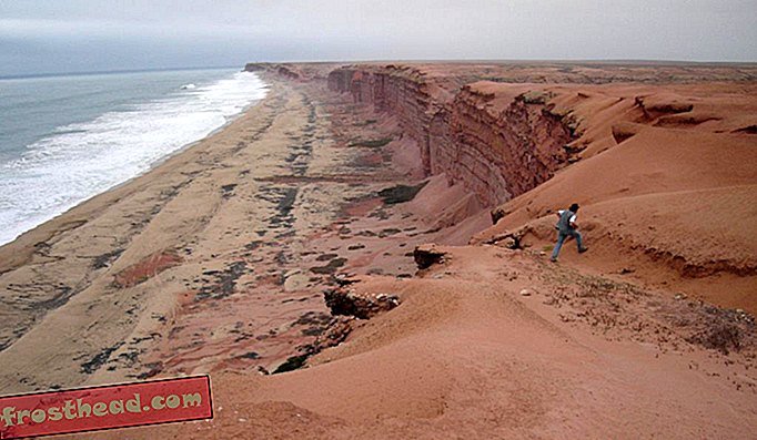 Modernissa Angolan merikallioilla varustettu helposti saatavilla oleva sedimenttikivi on täynnä kivettyneitä jäänteitä elämästä, joka kukoisti rannikoilla kymmeniä miljoonia vuosia sitten.