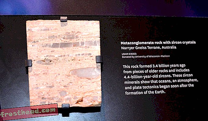 Tsirkoon ehk hõbebit on selles 3, 4 miljardit aastat vanas metakonglomeraadikivis umbes 1 miljard aastat vanem kui kivim ise.
