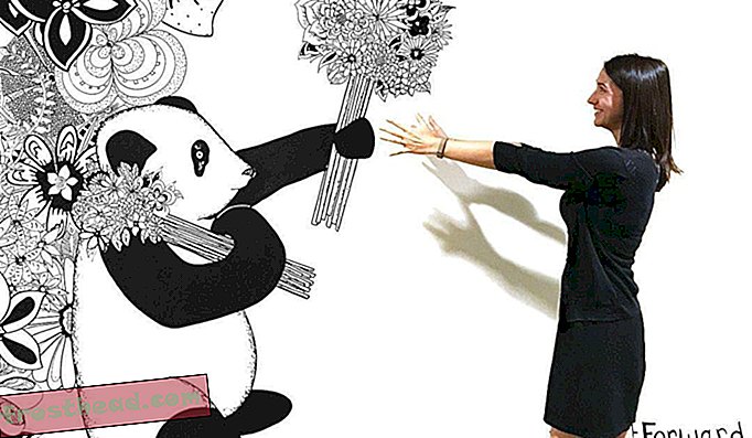 Στο αμερικανικό μουσείο τέχνης του Smithsonian, ο σαλπιγκίστας Kelsey Montague (παραπάνω) δημιούργησε ένα κολακεύο panda bearing posies.