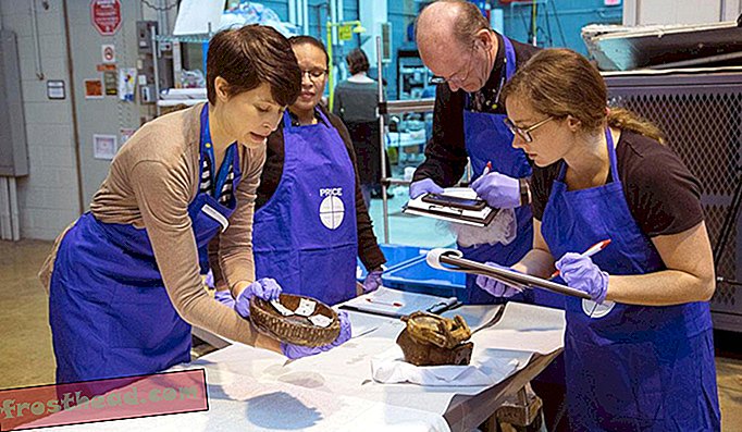 Simulatsiooni töötubades praktiseerivad Smithsoniani töötajad päästetud esemeid dokumenteerides hädaolukordadeks valmistumisel.