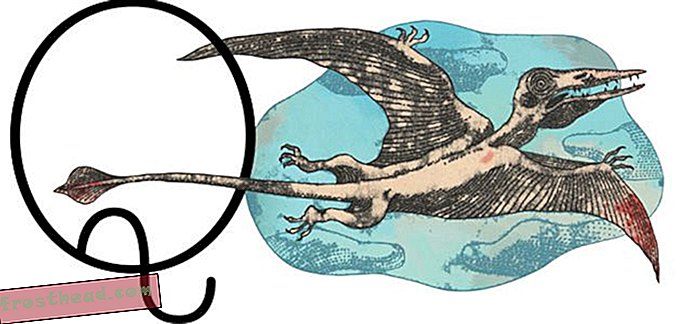 Extinctions de dinosaures, morts titanesques et autres questions de nos lecteurs