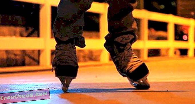 पवित्र ज़म्बोनी!  ज़ू के स्केटिंग रिंक में बर्फ नहीं है