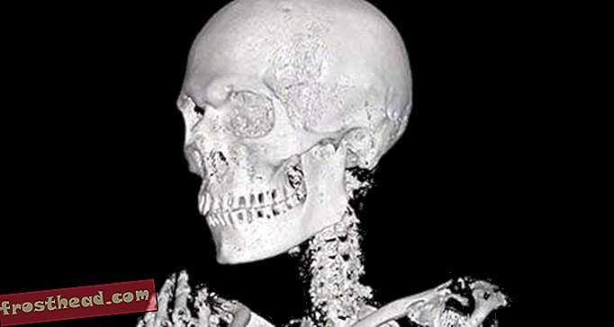 Les scanners CT ouvrent un mystère momie