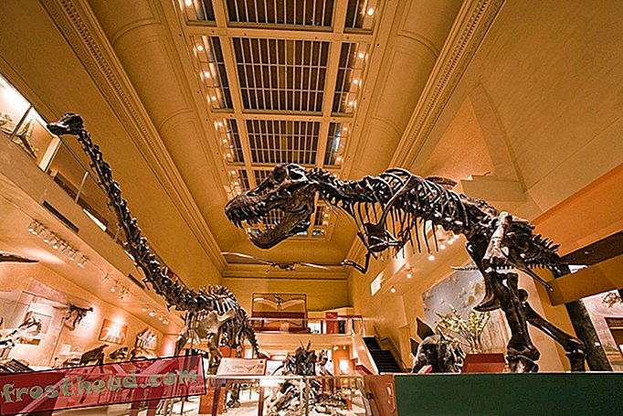 Salão dos Dinossauros, 2012