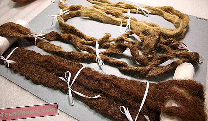 La barba más larga del mundo es uno de los artefactos más extraños del Smithsonian