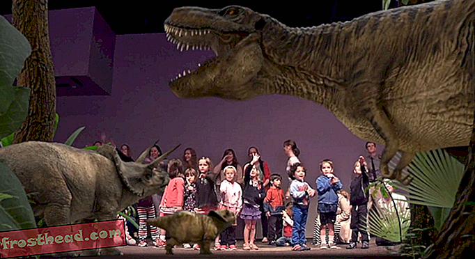 אנא אל תגעו בדינוזאורים במוזיאון הטבע