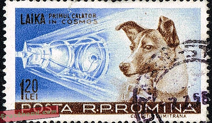 Neuvostoliittolaiset liittolaiset, kuten Romania (edellä), Albania, Puola ja Pohjois-Korea, laskivat Laika-postimerkkejä vuosina 1957 - 1987.