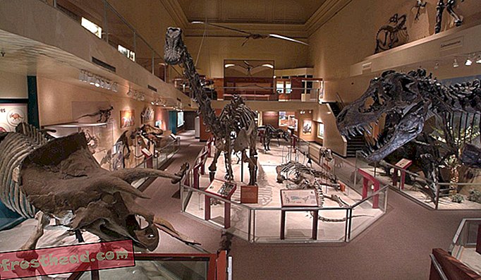 artikler på smithsonian, spørg smithsonian, vilde ting, videnskab - Hvad gør en dinosaur til en dinosaur?