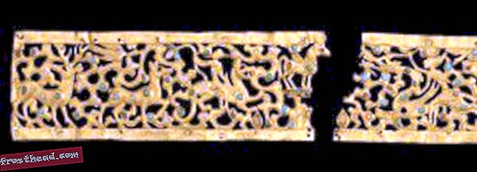 Um diadema de ouro decorado