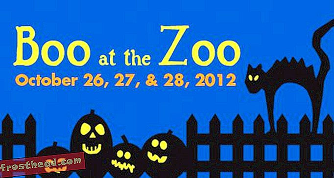 artikler, hos smeden, blogs, omkring indkøbscenteret - Begivenheder 26.-28. Oktober: Boo i zoologisk have, middag og en film og trunk-shows