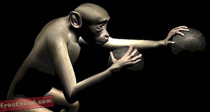 ממשק חדש מאפשר לקופים לשלוט בשתי זרועות וירטואליות כאשר מוחם לבד