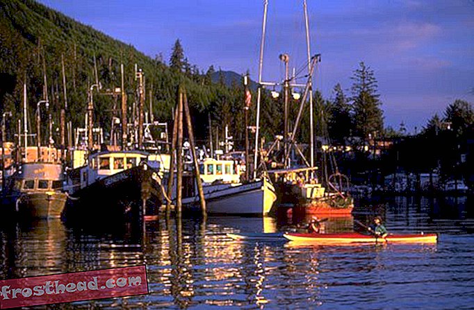 artículos, viajes, americas, alaska - Alaska - Iniciativas de turismo ecológico