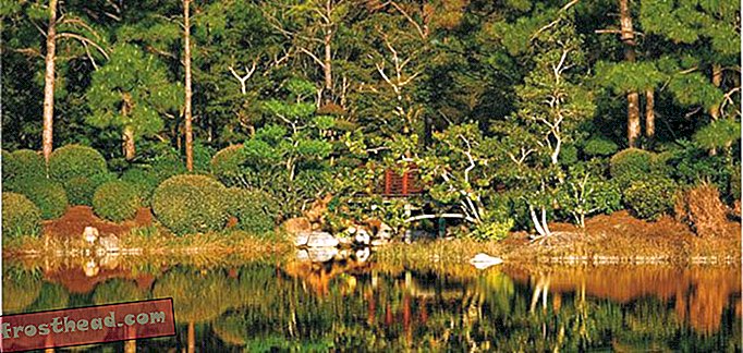 Florida Bujni japanski vrtovi na Floridi