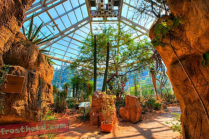 Pavilhão do deserto no jardim botânico do Brooklyn