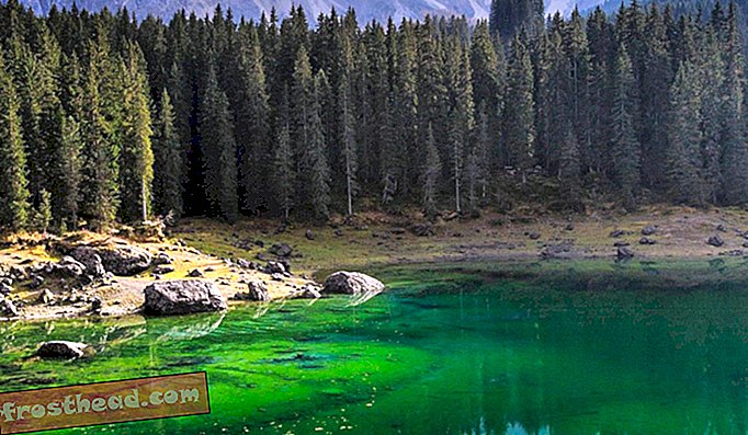 Grünes Wasser des Karersee, Italien.