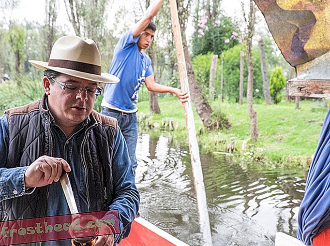articles, voyage, amérique centrale et du sud - Les célèbres jardins flottants du Mexique retrouvent leurs racines agricoles