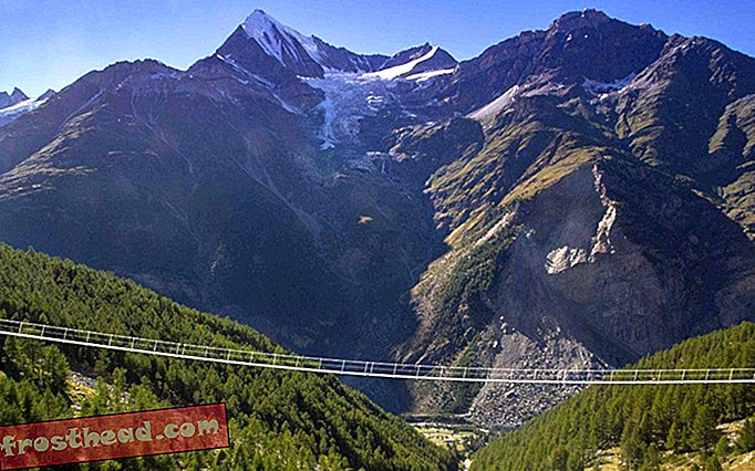 Sveitsi avasi juuri maailman pisin jalankulkijoiden jousitettu silta