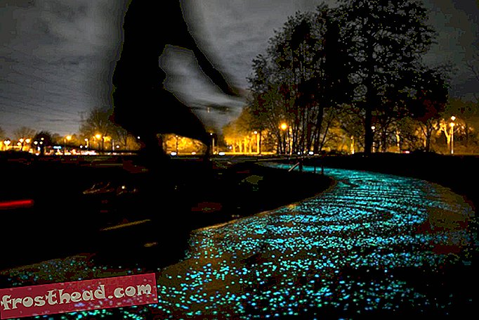 articles, voyage, europe - Découvrez la «nuit étoilée» de Van Gogh sur cette belle piste cyclable éclairée