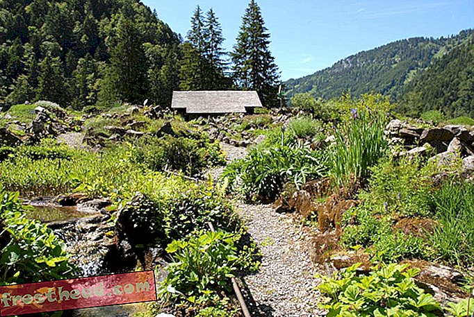 Альпийский сад Ла Томазия, Швейцария