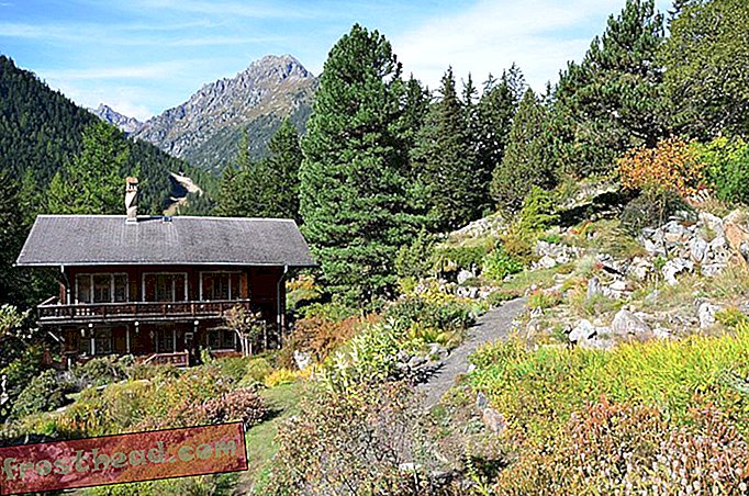 Flore Alpe botaanikaaed