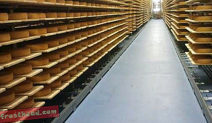 Seiler Käserei AG, en osteproducent, modnes række på række af sin Raclette-ost i en tidligere ammunitionsbunker.
