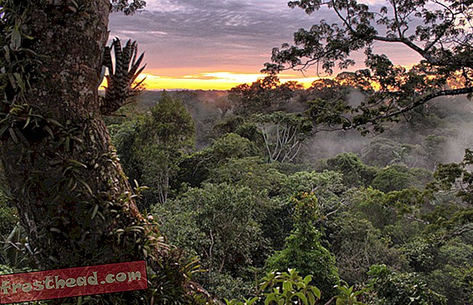 इक्वाडोर का यह पार्क पृथ्वी के सबसे जैव विविधता वाले स्थानों में से एक है