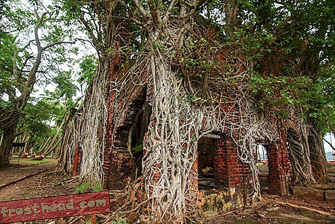 articole, călătorii - Insula Abandonată a Horror Colonial din India