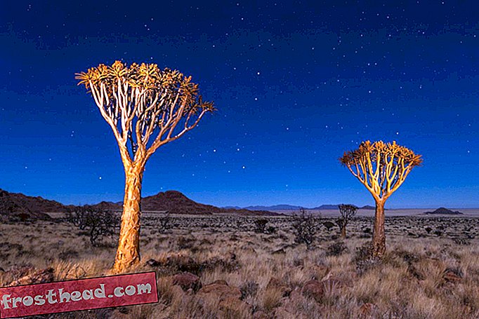 Rezervația naturală NamibRand din Namibia