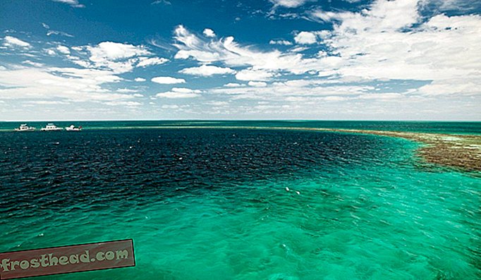 Inngang til det berømte Great Blue Hole. I sentrum av fyrtårnet, en del av Belize Barrier Reef Reserve System, og et verdensarvsted.