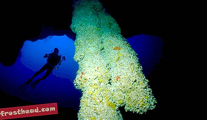 Посетите вертикальную подводную пещеру в Белизе