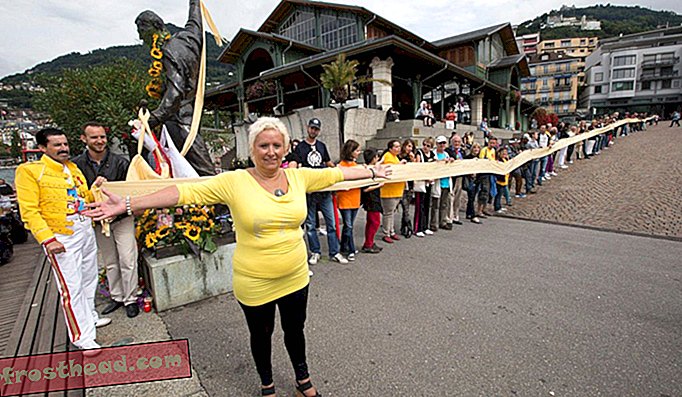 Holenderska fanka Marijke Scheerlinck (C) pozuje z żółtym szalikiem o długości 67 metrów trzymanym przez innych fanów Freddiego Mercury'ego w pobliżu pomnika brytyjskiej piosenkarki podczas 11. Dnia Pamięci Freddiego Mercury Montreux w Montreux w Szwajcarii, 8 września 2013 r. Scheerlinck wyprodukował szalik, który według przedstawiciela komisji Guinnessa jest „najdłuższym szalikiem Freddiego Mercury'ego na świecie”, ma to potwierdzić.