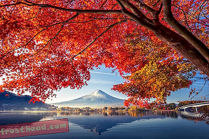 Kawaguchiko-tó a hegységgel Fuji ősszel, Japánban