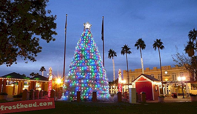 Seven Places réinventant l'arbre de Noël