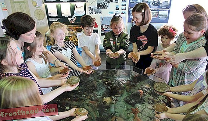 artikkelit, matka - Ole osa Catch-and-Release -akvaarioa Skotlannissa
