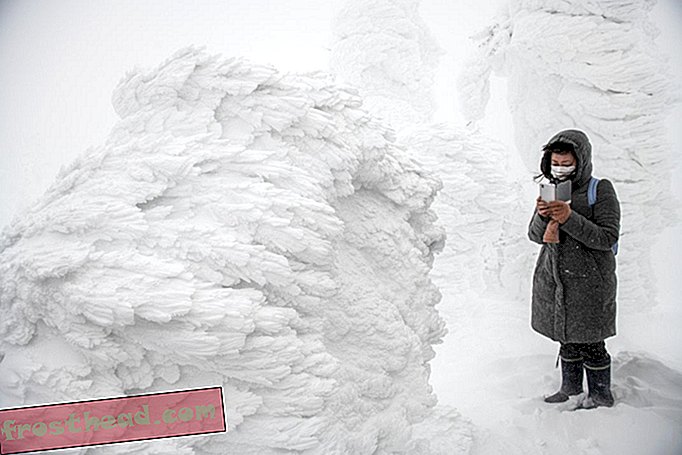 Arbóreos 'Monstruos de nieve' invaden el norte de Japón cada invierno