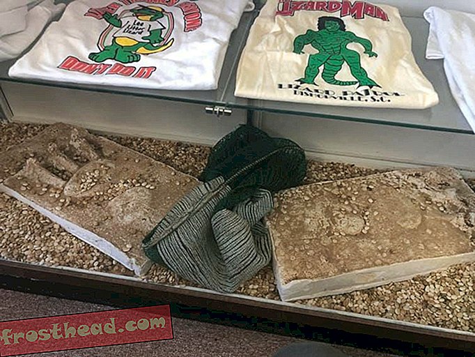 Des imprimés et des t-shirts plaza Lizard Man exposés au South Carolina Cotton Museum.