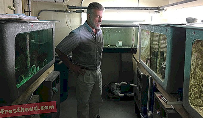 Alex Vagelli kontrollib kardinalkala, mida ta laboris hoiab.