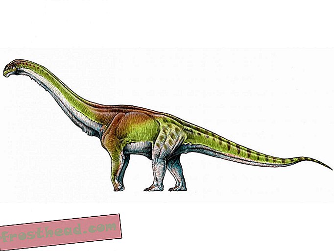 άρθρα, άγρια ​​πράγματα, επιστήμη, δεινόσαυροι - Οι επιστήμονες μόλις αποκάλυψαν τον μεγαλύτερο δεινόσαυρο όλων των εποχών;