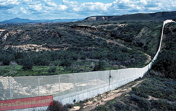 artículos, cosas salvajes, ciencia - Cómo un muro fronterizo podría causar estragos ecológicos