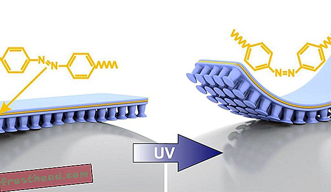 UV-valolle altistettuna tutkijoiden laitteessa käytetty molekyylirakenne muotoutuu uudelleen, taivuttamalla gekototeippi kiinnitetystä esineestä.