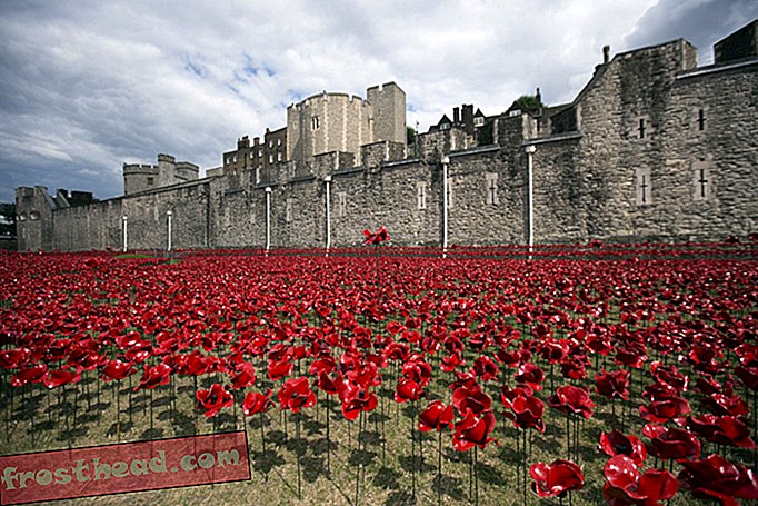 artikel, sejarah dunia, perjalanan, eropa - Untuk HUT WWI, Menara London Dikelilingi oleh Lautan Poppies