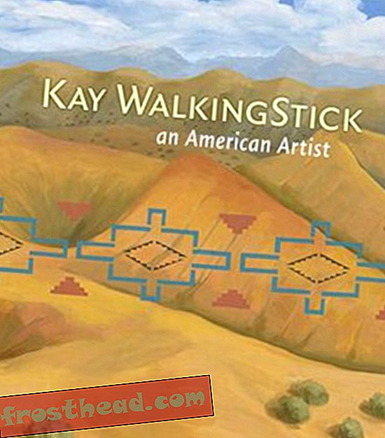 Preview thumbnail for video 'Kay WalkingStick: An American Artist