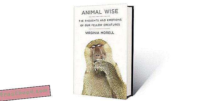 Buku Baru, Ditinjau: Emosi Haiwan, Membina Detroit dan Sains Menang