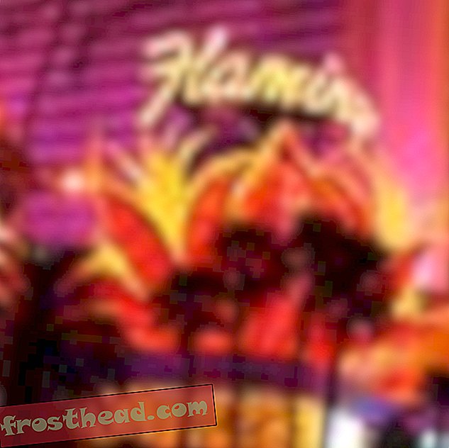 Stiilne hotell Flamingo kujundas Las Vegase riba-nutikad uudised, arukad uudised - kunst ja kultuur, arukad uudiste ajalugu ja arheoloogia, nutikad