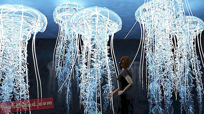 En ny pop-up-udstilling i NYC fordyber besøgende i en dybhavsoplevelse
