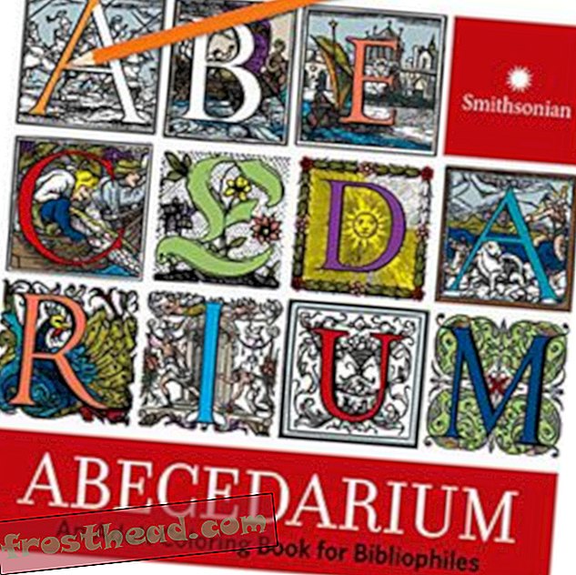 Preview thumbnail for 'Abecedarium: An Adult Coloring Book for Bibliophiles