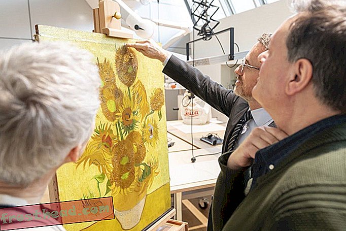 nouvelles intelligentes, nouvelles arts et culture, voyages intelligents - Le tournesol de Van Gogh n'est plus autorisé à décoller
