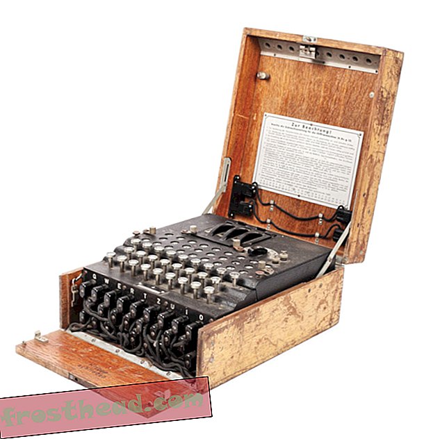 Die auf dem Flohmarkt gefundene Rätselmaschine aus dem Zweiten Weltkrieg kostet 51.000 US-Dollar