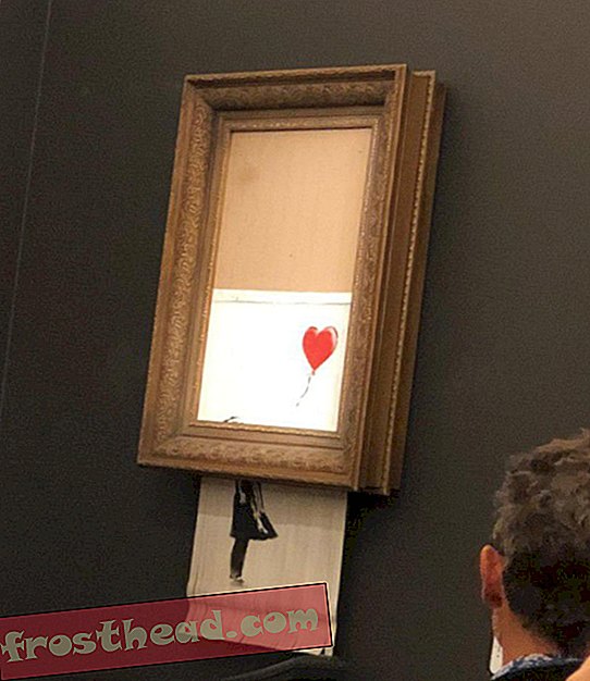 Katso tämä 1,4 miljoonan dollarin Banksy-maalaus, joka hirsi itsensä niin pian kuin se on myyty