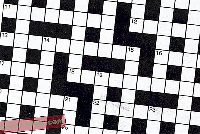 Plagiaat Scandal Checkers the World of Crossword Puzzles